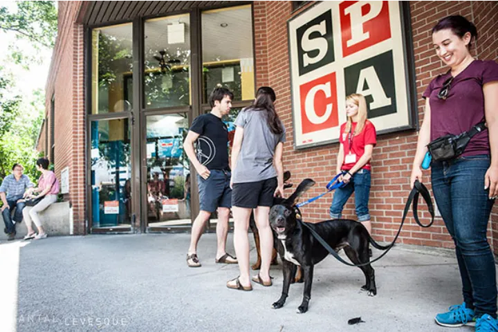 جویندگان کار در مونترال بشتابید
